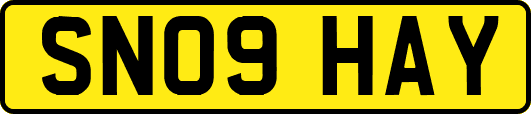 SN09HAY
