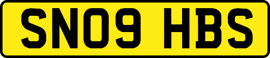 SN09HBS