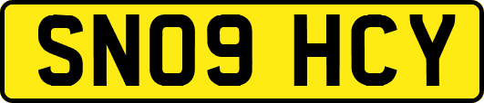 SN09HCY