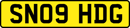 SN09HDG