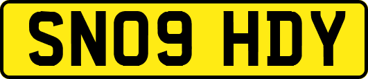 SN09HDY
