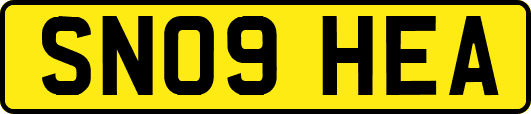 SN09HEA