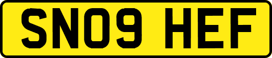 SN09HEF