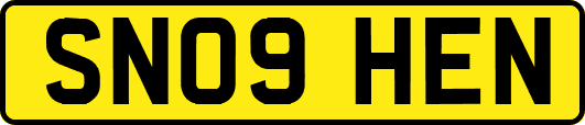 SN09HEN