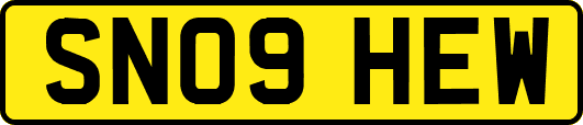 SN09HEW