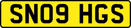 SN09HGS