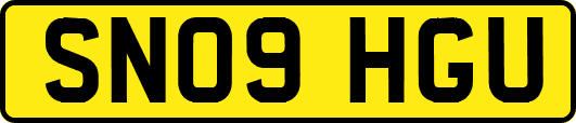 SN09HGU