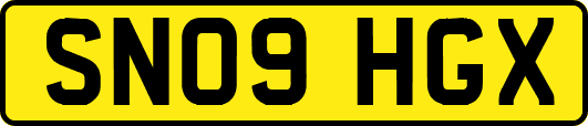 SN09HGX