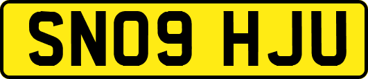 SN09HJU