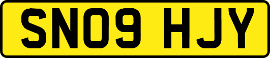 SN09HJY