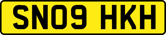 SN09HKH
