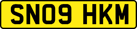SN09HKM