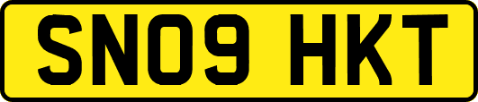 SN09HKT