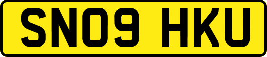 SN09HKU