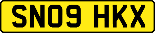 SN09HKX
