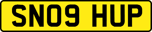 SN09HUP