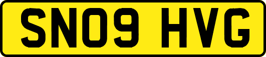 SN09HVG