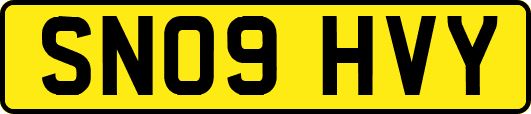 SN09HVY