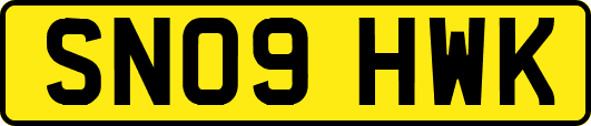 SN09HWK