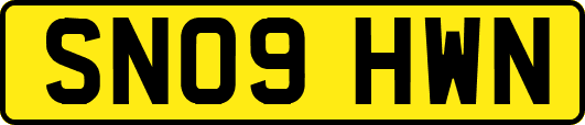 SN09HWN
