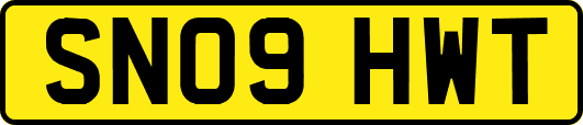 SN09HWT
