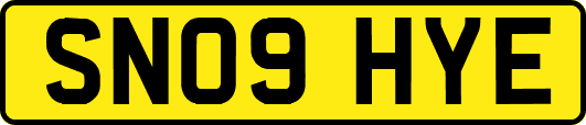 SN09HYE