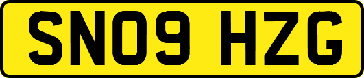 SN09HZG