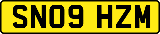 SN09HZM