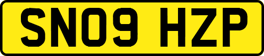 SN09HZP