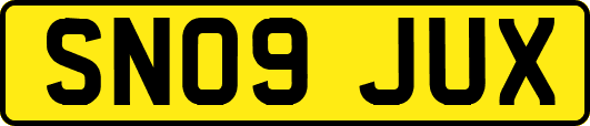 SN09JUX