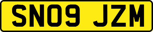 SN09JZM