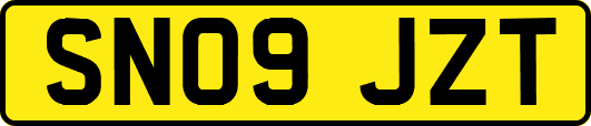 SN09JZT