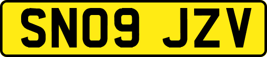 SN09JZV