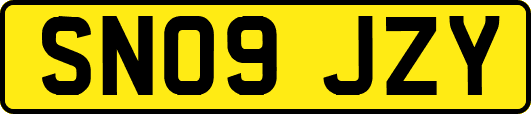SN09JZY