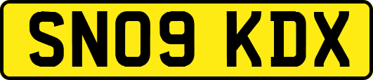 SN09KDX