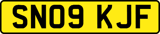 SN09KJF