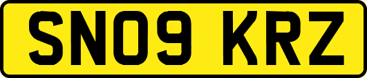 SN09KRZ