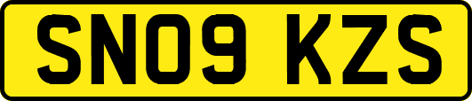 SN09KZS