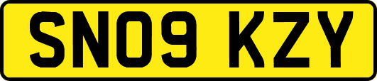 SN09KZY