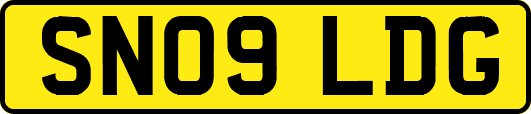 SN09LDG