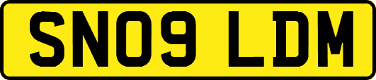 SN09LDM