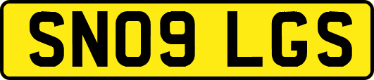 SN09LGS