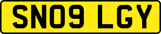 SN09LGY