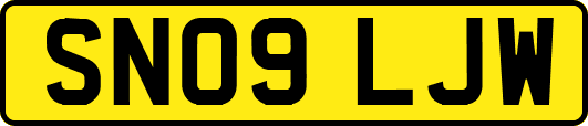 SN09LJW