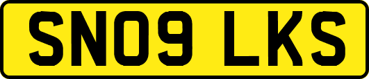 SN09LKS