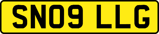 SN09LLG