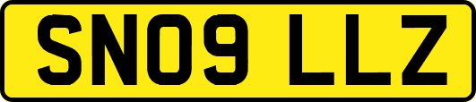 SN09LLZ