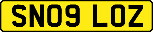 SN09LOZ