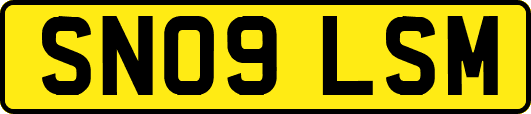 SN09LSM
