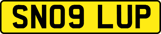 SN09LUP
